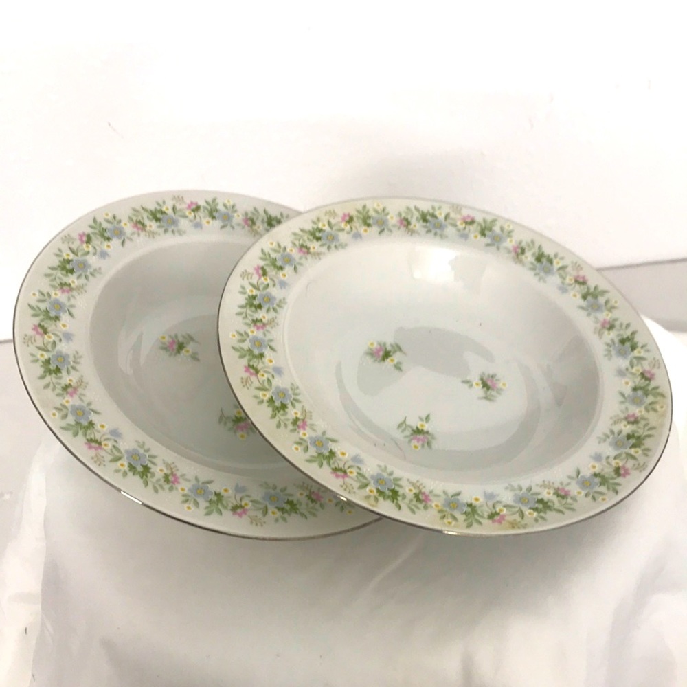 Johann Haviland Bavaria Germany Antique Pair of Bowls